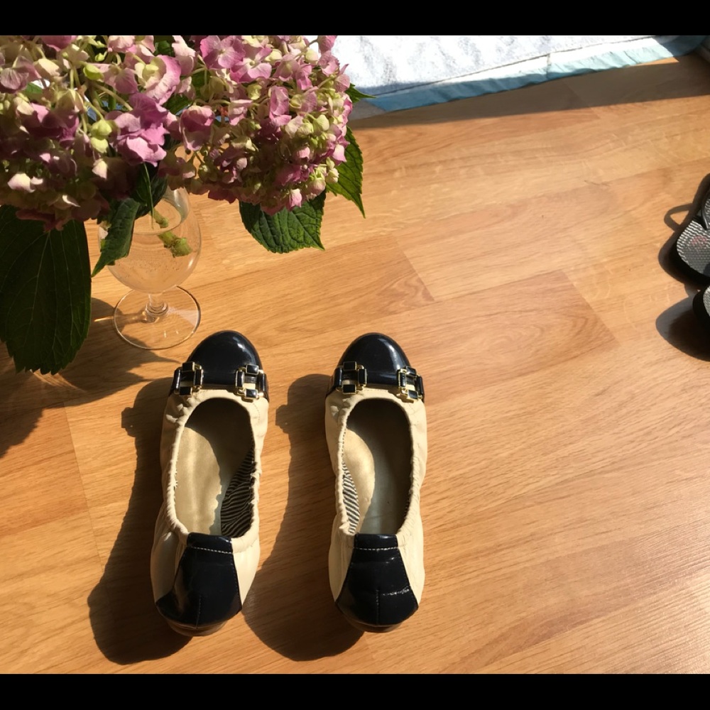Adorable yet sophisticated ballet flats